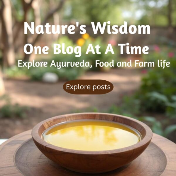 a bowl of a2 ghee on a table