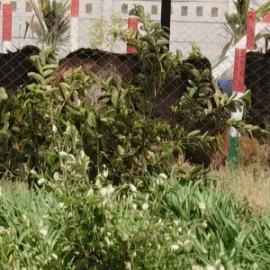 4_20250813_211611_0003